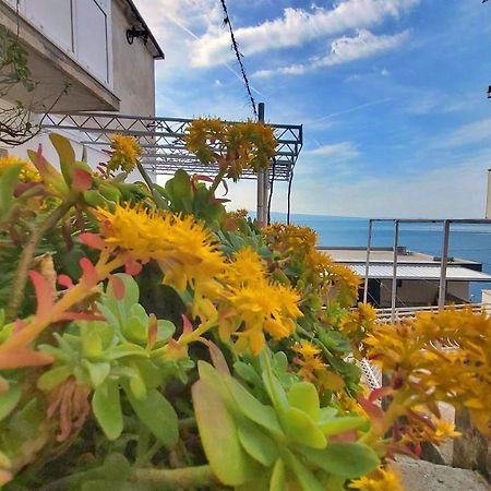 Apartment Cedo Omiš Buitenkant foto