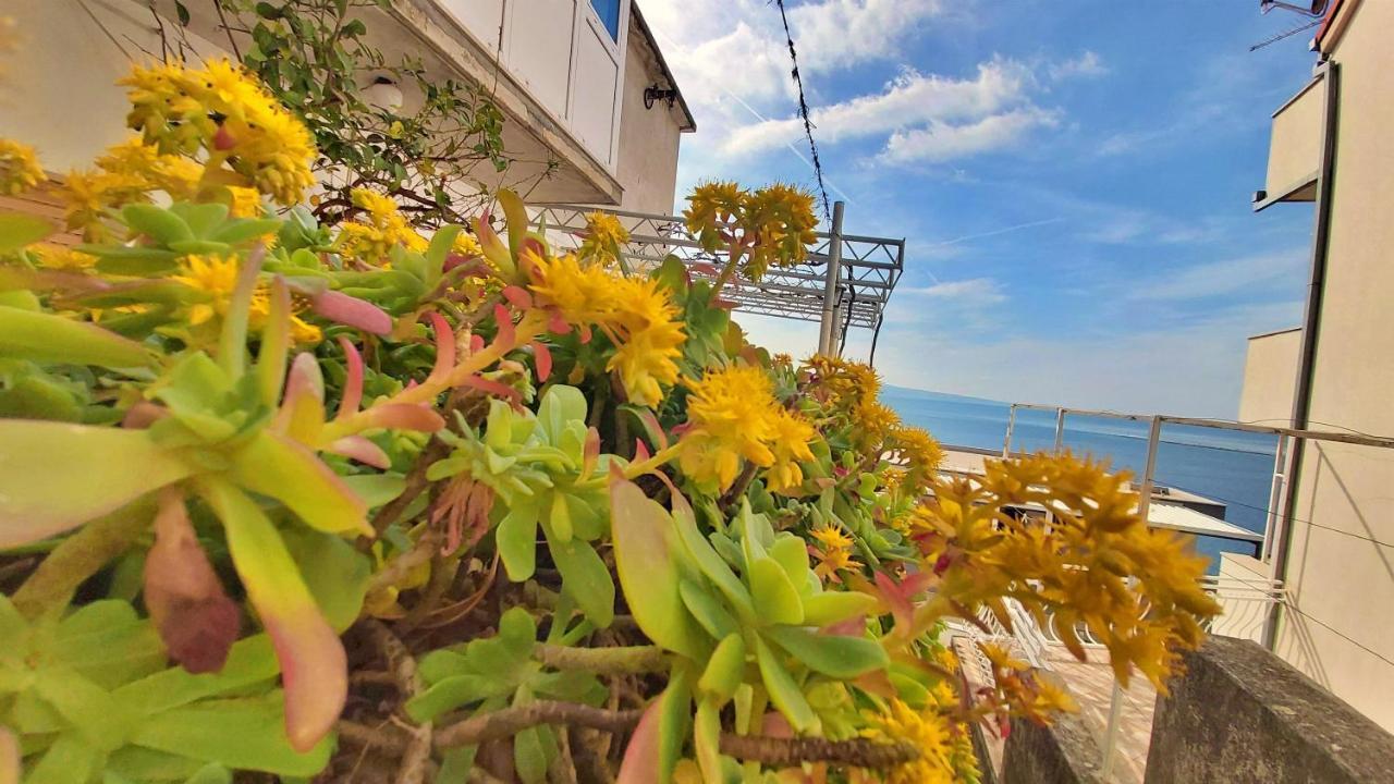 Apartment Cedo Omiš Buitenkant foto