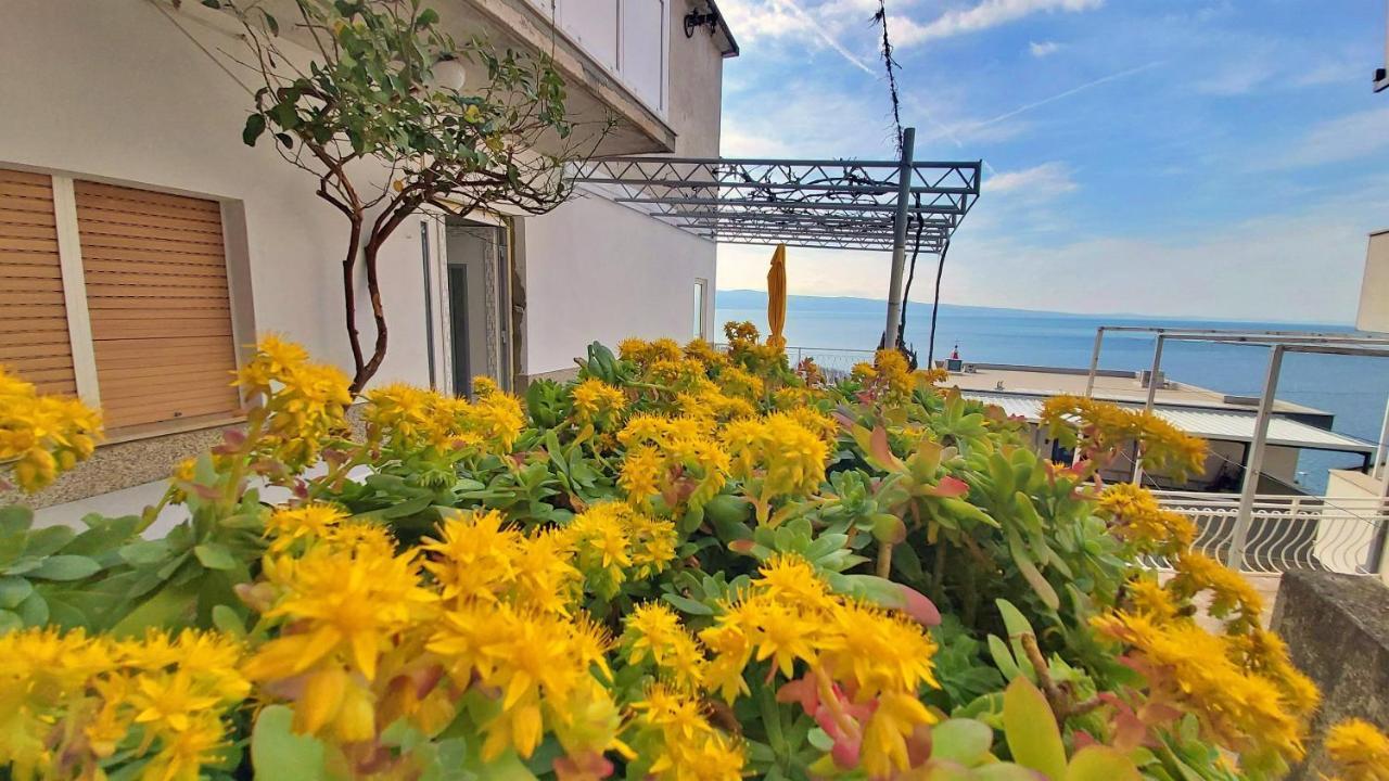 Apartment Cedo Omiš Buitenkant foto